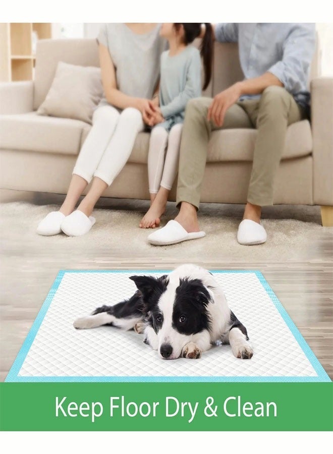 40Pcs Dog Pads Thicker Pet Training and Puppy Pads Super Absorbent Pee Pads for Dogs Leak Proof Dog Potty Training Pads for Puppies Cats Rabbits Pet Pee Pads - Image 4